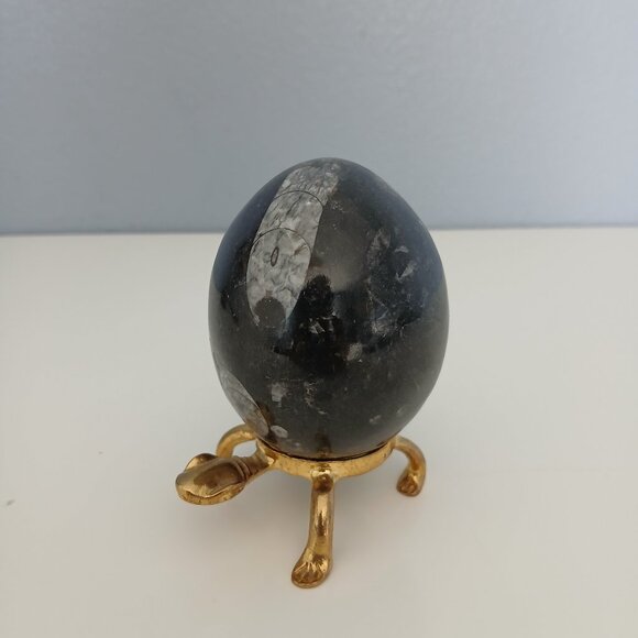 Fossilized stone egg shaped with turtle stand - Picture 1 of 7